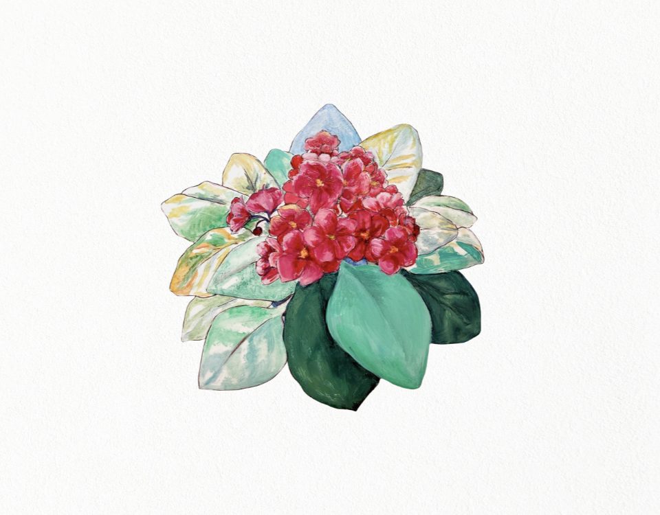 gsyv zeren akyar anma